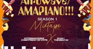 MIXTAPE: Dj 501 - Afrowave x Amapiano Mix Season 1 ft. Hypeman Doinz